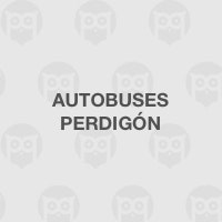 AUTOBUSES PERDIGÓN