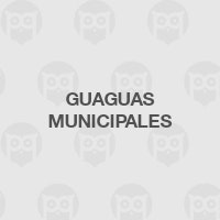 GUAGUAS MUNICIPALES