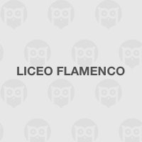 Liceo Flamenco