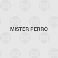 Mister Perro