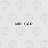 Mr. CAP