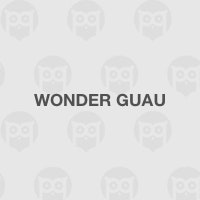 Wonder guau